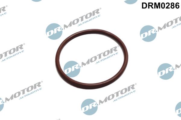 Dr.Motor Automotive DRM0286 - Прокладка, паливний насос autozip.com.ua