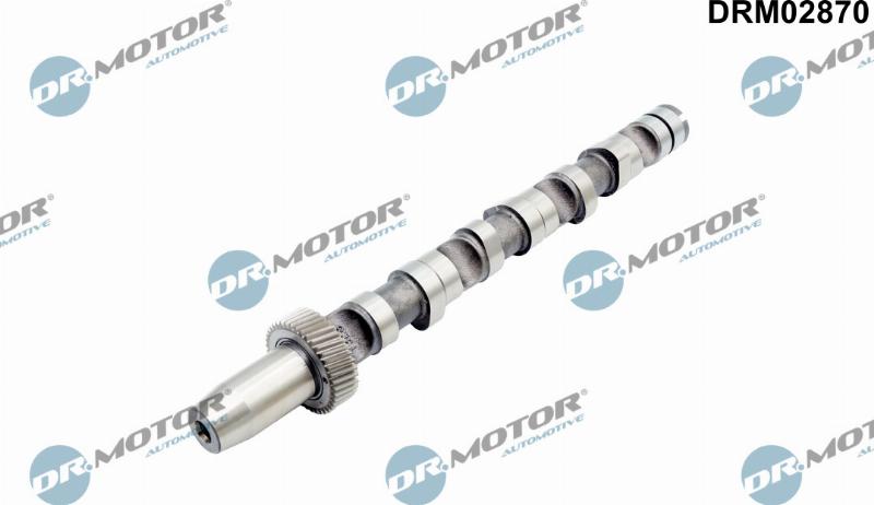 Dr.Motor Automotive DRM02870 - Шток autozip.com.ua