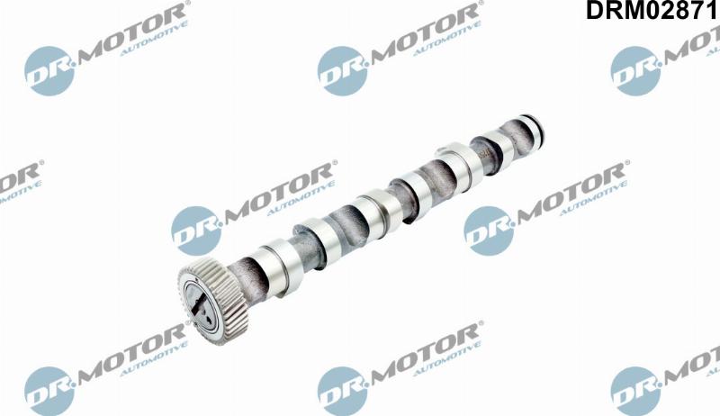 Dr.Motor Automotive DRM02871 - Шток autozip.com.ua