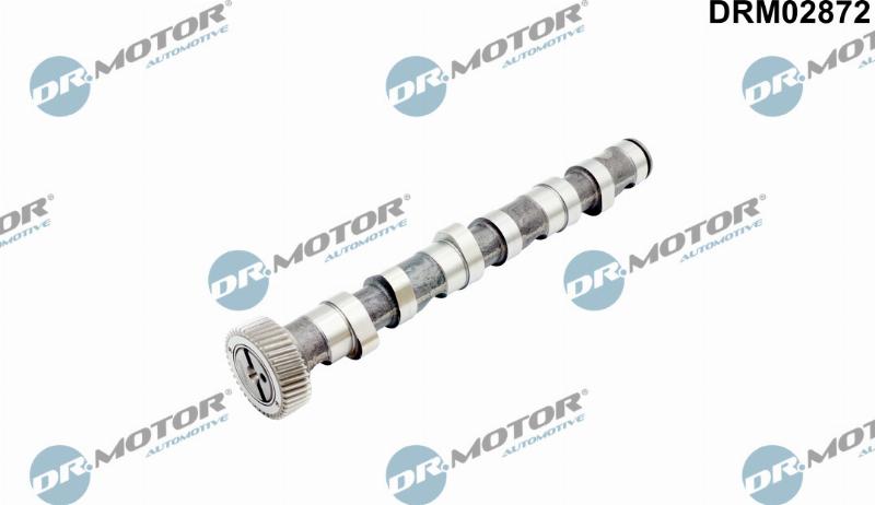 Dr.Motor Automotive DRM02872 - Шток autozip.com.ua