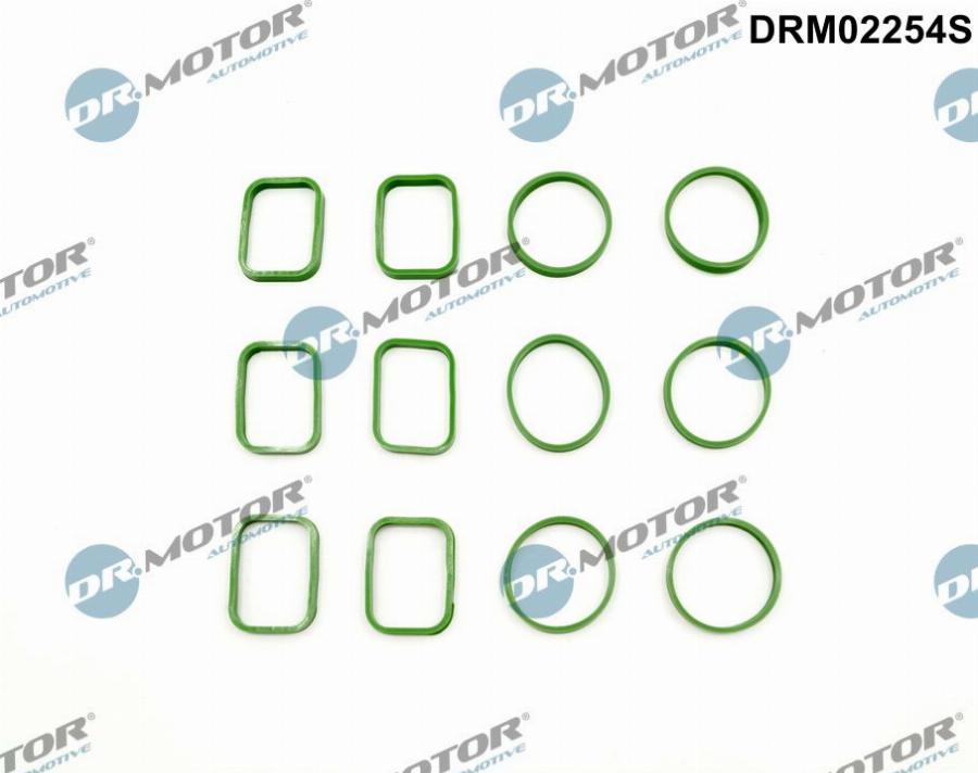 Dr.Motor Automotive DRM02254S - Комплект прокладок, впускний колектор autozip.com.ua