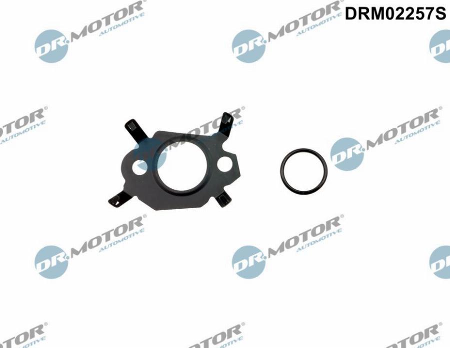 Dr.Motor Automotive DRM02257S - Комплект прокладок, AGR-система autozip.com.ua