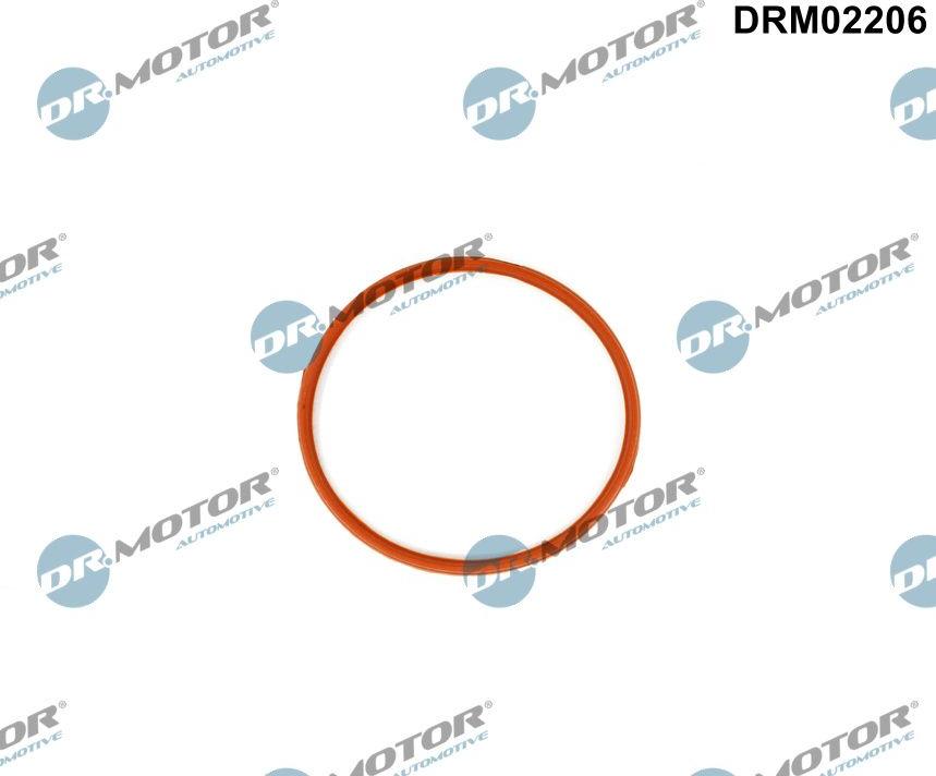 Dr.Motor Automotive DRM02206 - Прокладка, впускний колектор autozip.com.ua
