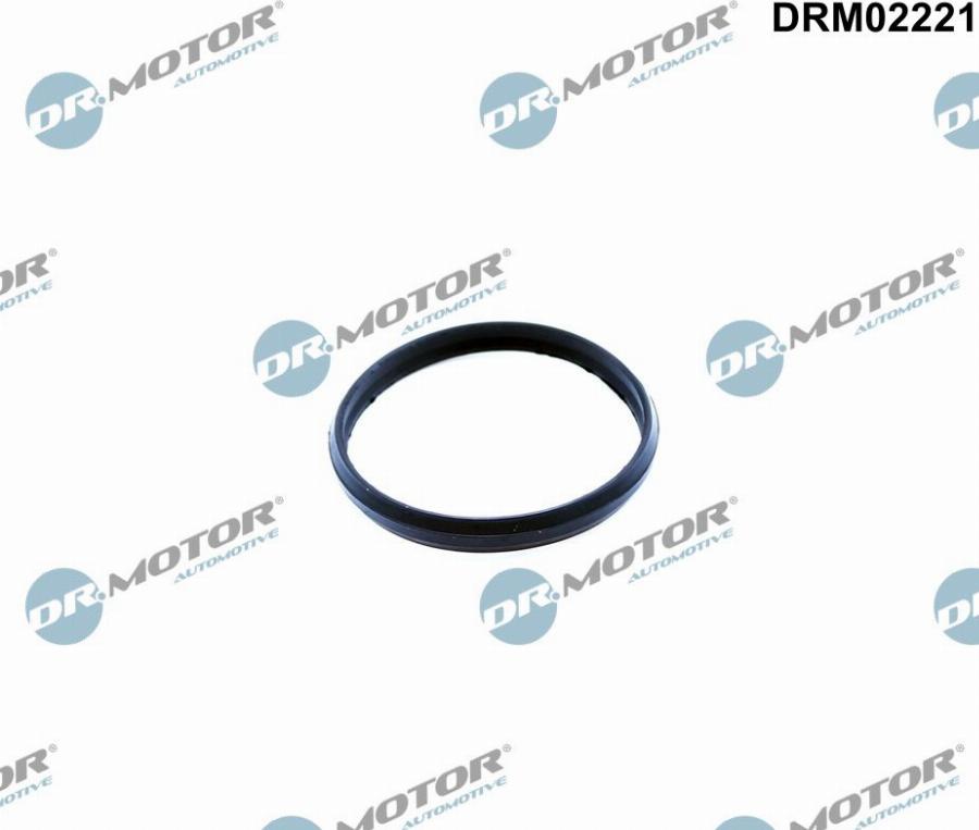 Dr.Motor Automotive DRM02221 - Прокладка, натяжний пристрій ланцюга приводу autozip.com.ua