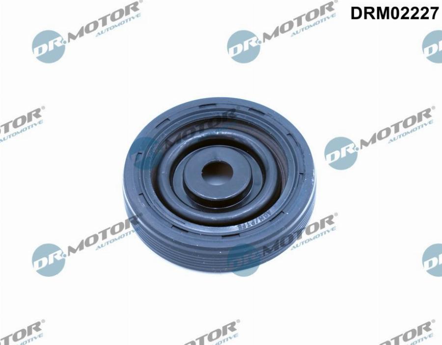 Dr.Motor Automotive DRM02227 - Ущільнене кільце, колінчастий вал autozip.com.ua