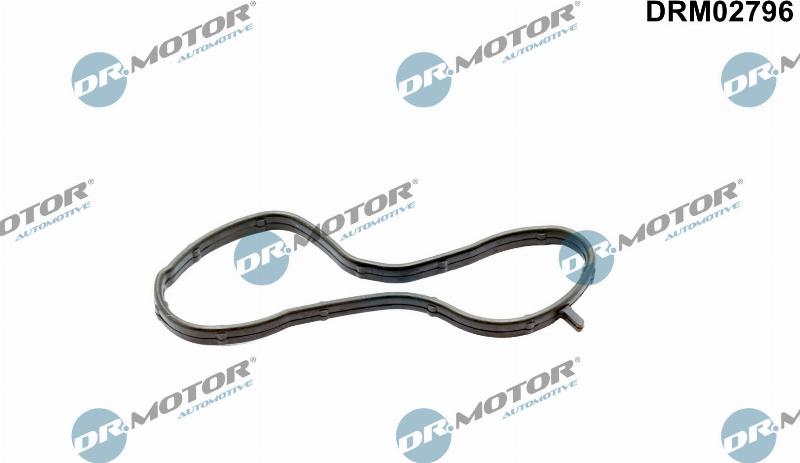 Dr.Motor Automotive DRM02796 - Прокладка, фланець охолоджуючої рідини autozip.com.ua