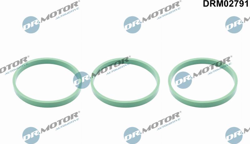 Dr.Motor Automotive DRM02791 - Прокладка, впускний колектор autozip.com.ua