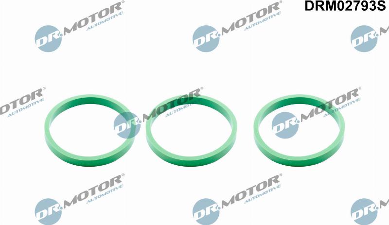 Dr.Motor Automotive DRM02793S - Комплект прокладок, впускний колектор autozip.com.ua