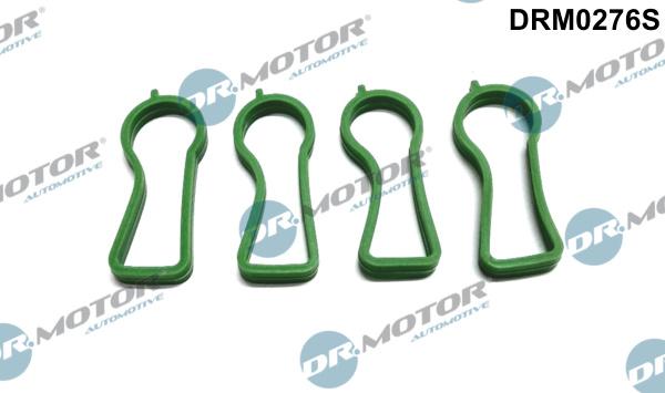 Dr.Motor Automotive DRM0276S - Комплект прокладок, впускний колектор autozip.com.ua