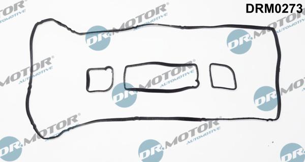Dr.Motor Automotive DRM0273 - Комплект прокладок, кришка головки циліндра autozip.com.ua