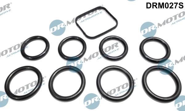 Dr.Motor Automotive DRM027S - Комплект прокладок, впускний колектор autozip.com.ua