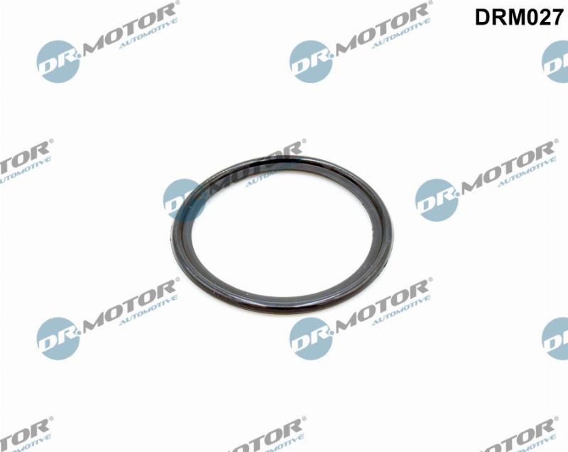 Dr.Motor Automotive DRM027 - Прокладка, масляний радіатор autozip.com.ua