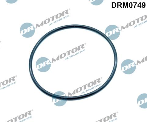 Dr.Motor Automotive DRM0749 - Прокладка, клапан повернення ОГ autozip.com.ua