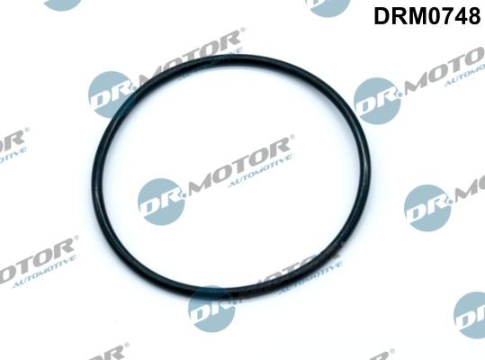 Dr.Motor Automotive DRM0748 - Прокладка, вакуумний насос autozip.com.ua