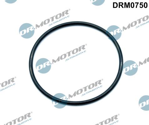 Dr.Motor Automotive DRM0750 - Прокладка, з'єднання дросельної заслінки autozip.com.ua