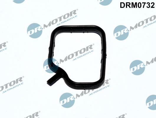 Dr.Motor Automotive DRM0732 - Прокладка, трубка охолоджуючої рідини autozip.com.ua