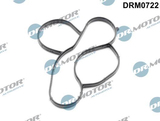 Dr.Motor Automotive DRM0722 - Прокладка, водяний насос autozip.com.ua