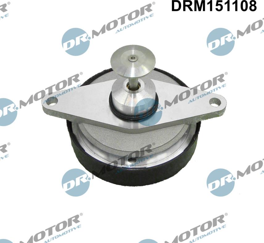 Dr.Motor Automotive DRM151108 - Клапан повернення ОГ autozip.com.ua