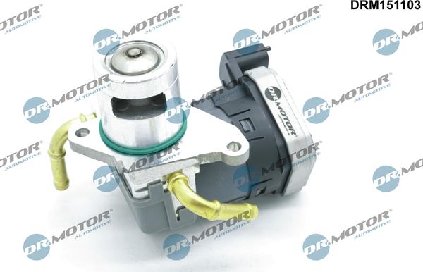 Dr.Motor Automotive DRM151103 - Клапан повернення ОГ autozip.com.ua