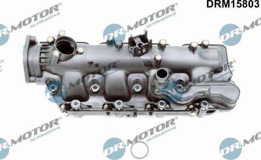 Dr.Motor Automotive DRM15803 - Модуль впускний труби autozip.com.ua