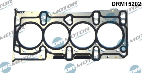 Dr.Motor Automotive DRM15202 - Прокладка, головка циліндра autozip.com.ua