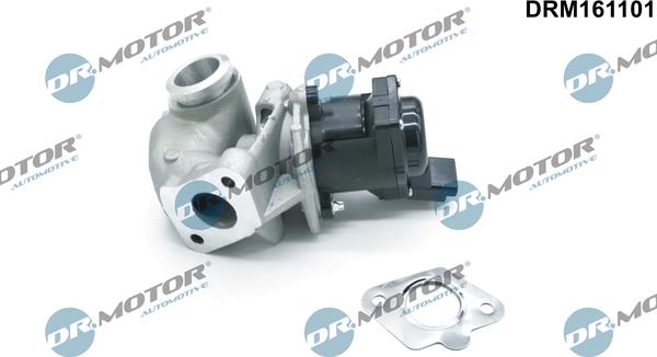 Dr.Motor Automotive DRM161101 - Клапан повернення ОГ autozip.com.ua