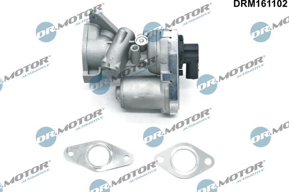 Dr.Motor Automotive DRM161102 - Клапан повернення ОГ autozip.com.ua