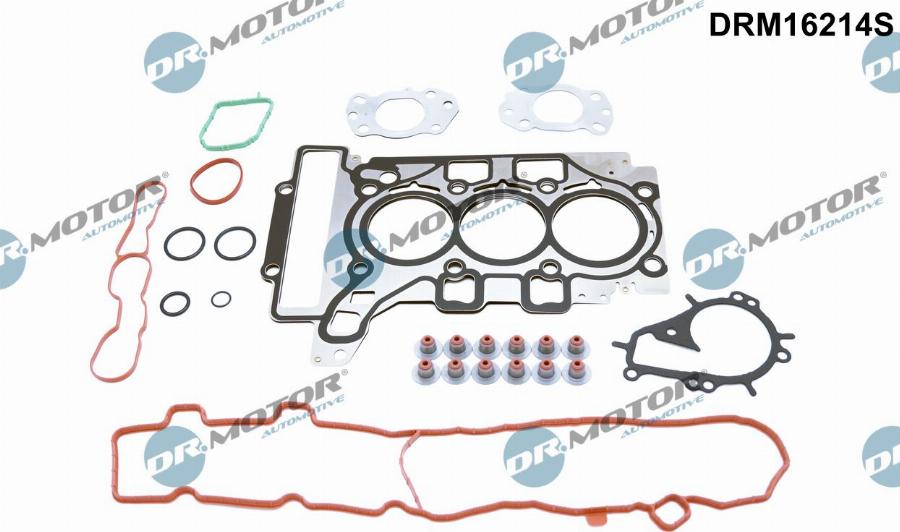 Dr.Motor Automotive DRM16214S - Комплект прокладок, двигун autozip.com.ua