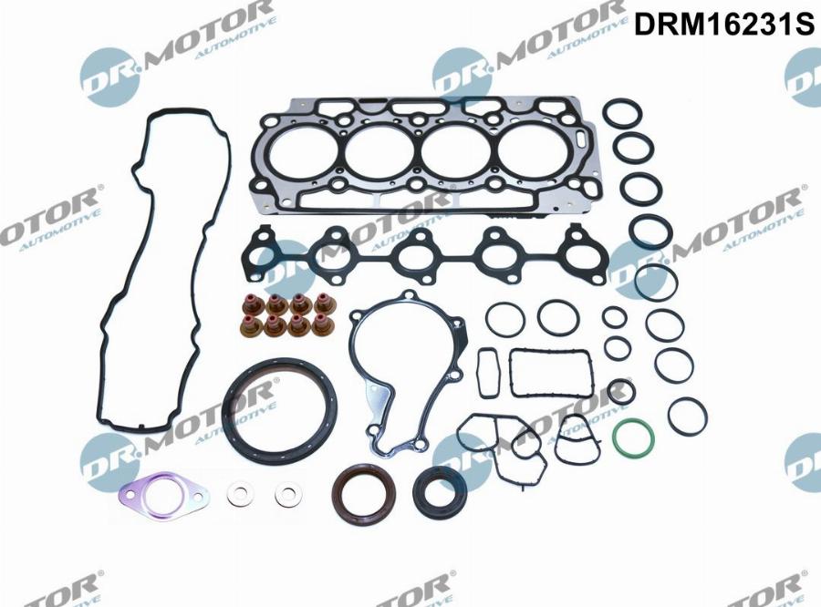 Dr.Motor Automotive DRM16231S - Комплект прокладок, двигун autozip.com.ua