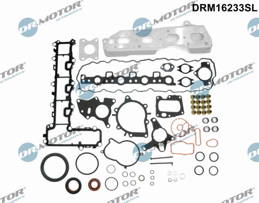 Dr.Motor Automotive DRM16233SL - Комплект прокладок, двигун autozip.com.ua