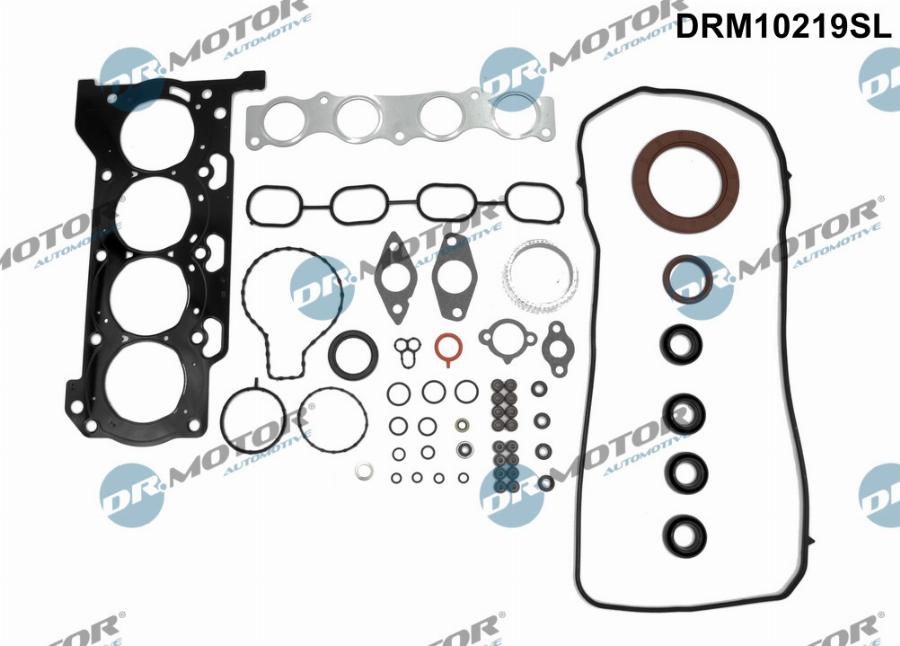 Dr.Motor Automotive DRM10219SL - Комплект прокладок, двигун autozip.com.ua