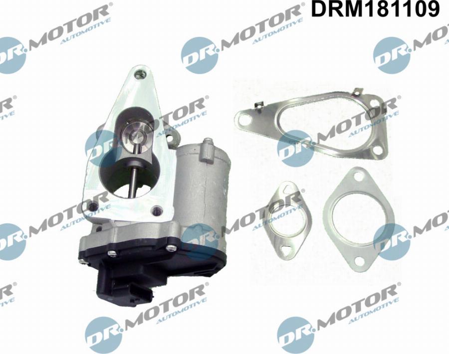 Dr.Motor Automotive DRM181109 - Клапан повернення ОГ autozip.com.ua
