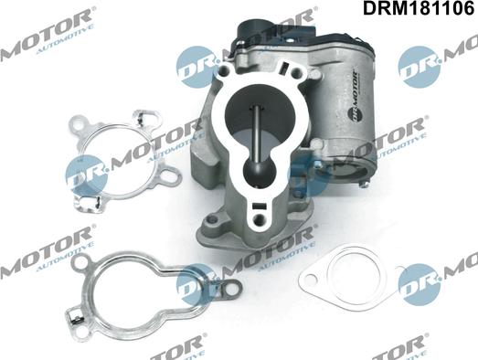 Dr.Motor Automotive DRM181106 - Клапан повернення ОГ autozip.com.ua