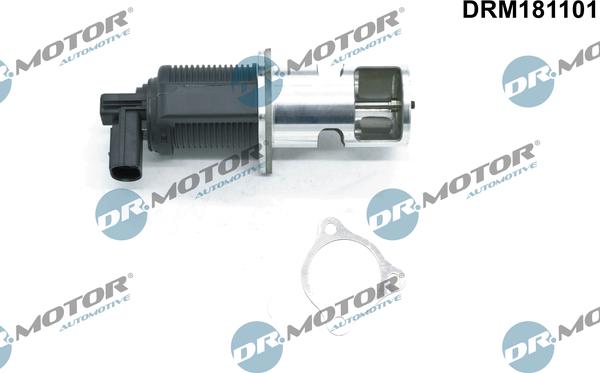 Dr.Motor Automotive DRM181101 - Клапан повернення ОГ autozip.com.ua