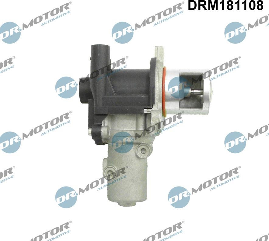 Dr.Motor Automotive DRM181108 - Клапан повернення ОГ autozip.com.ua
