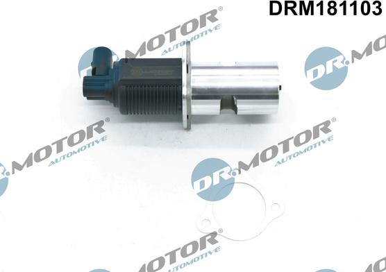Dr.Motor Automotive DRM181103 - Клапан повернення ОГ autozip.com.ua