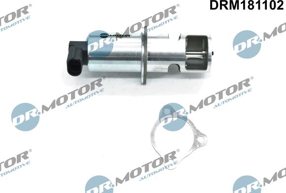 Dr.Motor Automotive DRM181102 - Клапан повернення ОГ autozip.com.ua