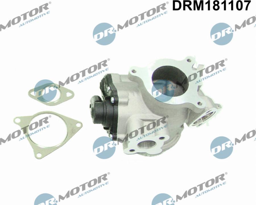 Dr.Motor Automotive DRM181107 - Клапан повернення ОГ autozip.com.ua