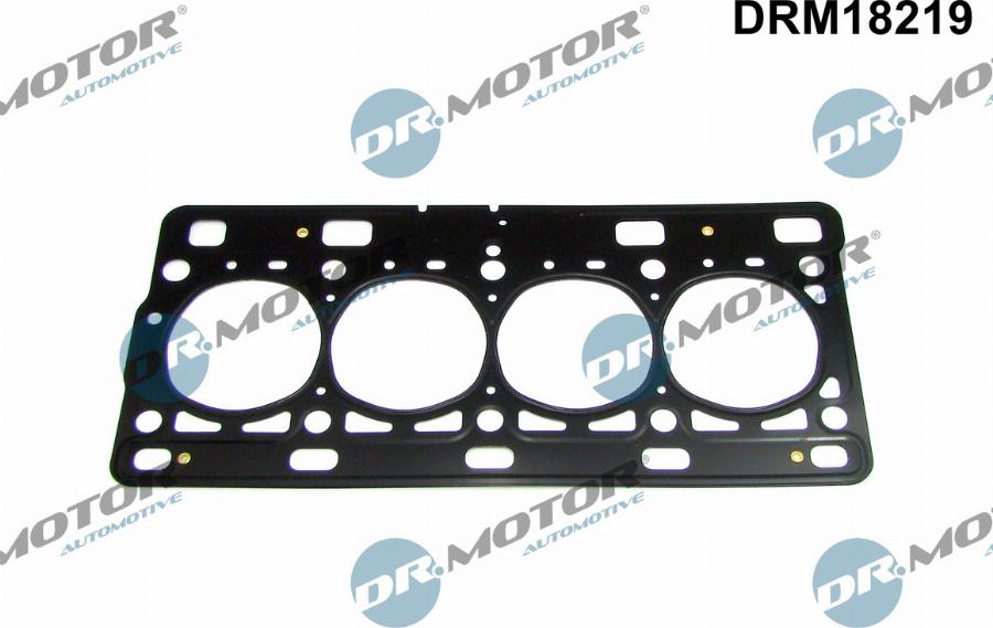 Dr.Motor Automotive DRM18219 - Прокладка, головка циліндра autozip.com.ua