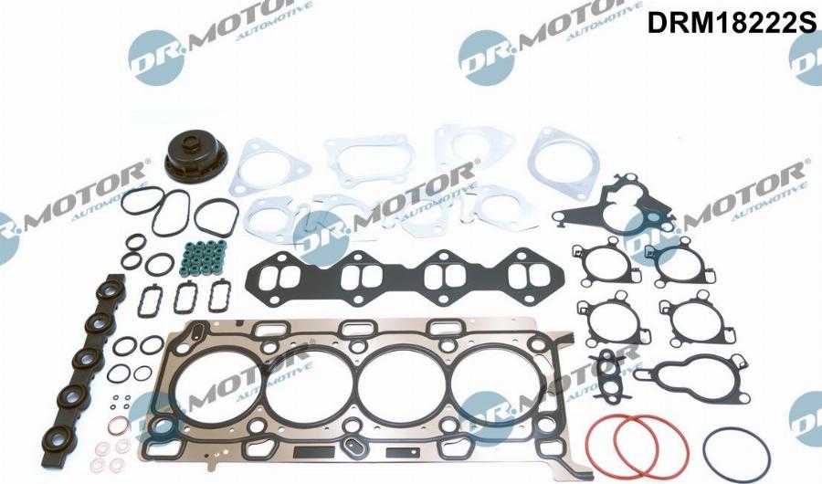 Dr.Motor Automotive DRM18222S - Комплект прокладок, двигун autozip.com.ua