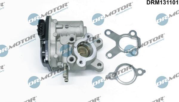 Dr.Motor Automotive DRM131101 - Клапан повернення ОГ autozip.com.ua