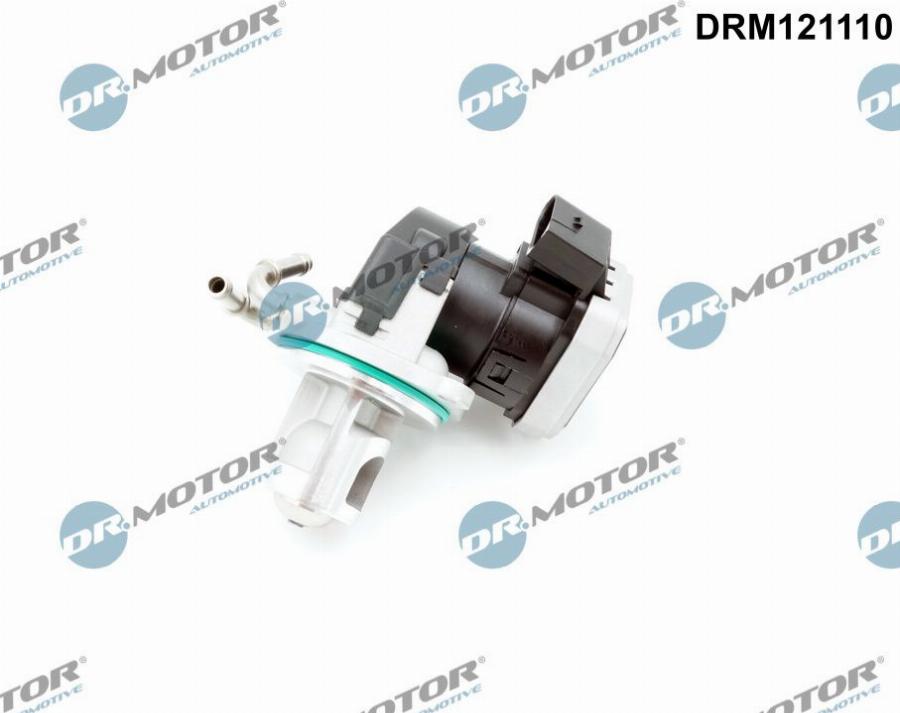 Dr.Motor Automotive DRM121110 - Клапан повернення ОГ autozip.com.ua