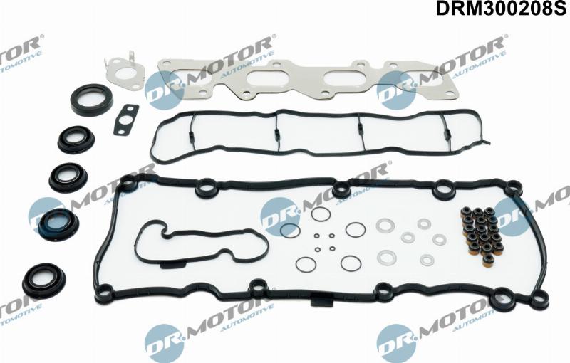 Dr.Motor Automotive DRM300208S - Комплект прокладок, двигун autozip.com.ua
