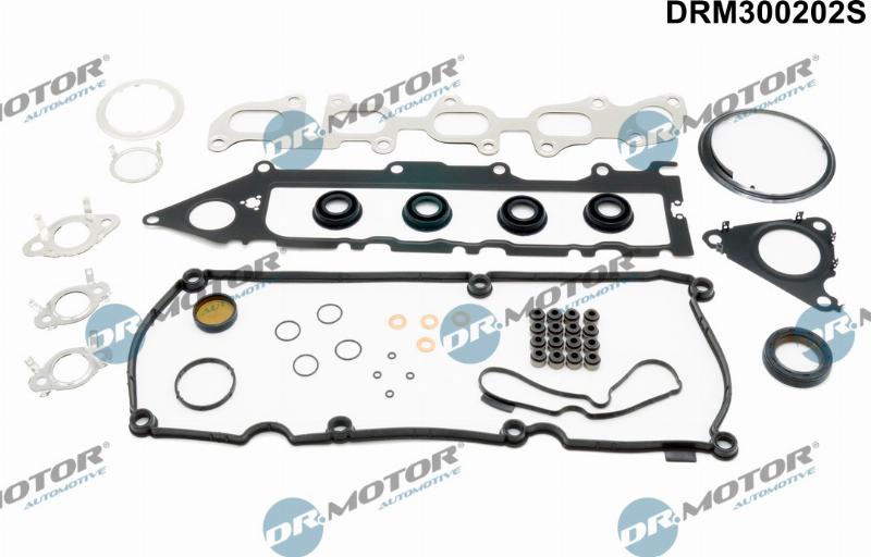 Dr.Motor Automotive DRM300202S - Комплект прокладок, двигун autozip.com.ua
