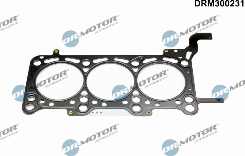 Dr.Motor Automotive DRM300231 - Прокладка, головка циліндра autozip.com.ua