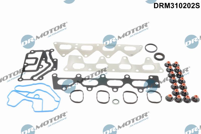 Dr.Motor Automotive DRM310202S - Комплект прокладок, головка циліндра autozip.com.ua