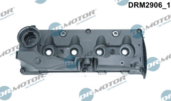 Dr.Motor Automotive DRM2906 - Кришка головки циліндра autozip.com.ua