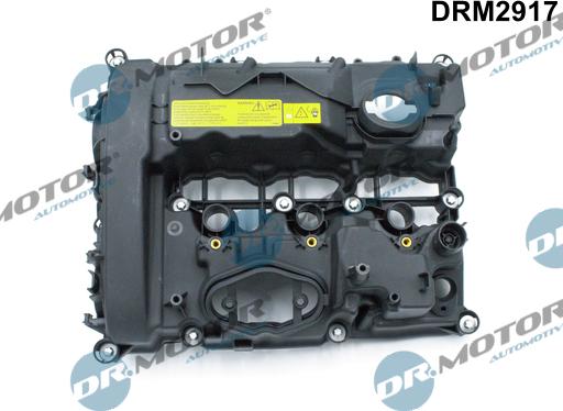 Dr.Motor Automotive DRM2917 - Кришка головки циліндра autozip.com.ua