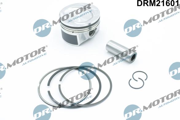 Dr.Motor Automotive DRM21601 - Поршень autozip.com.ua