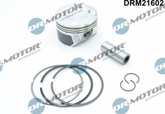 Dr.Motor Automotive DRM21602 - Поршень autozip.com.ua